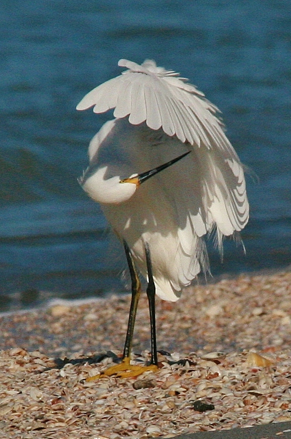 Beach 7 AM 046 (577x872)