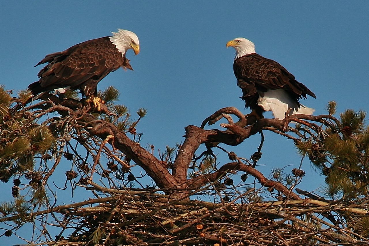 Eagles Nest building 3-9 047 (1280x854)