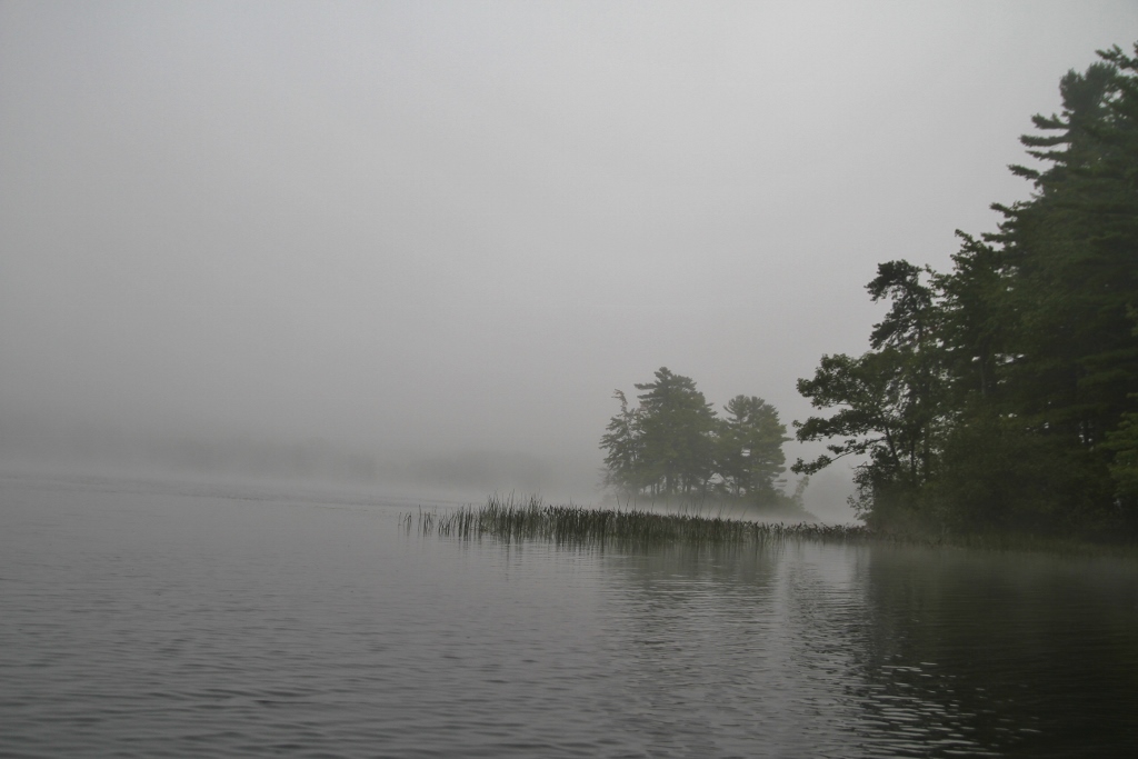 Kayak Foggy Morn 002 (1024x683)