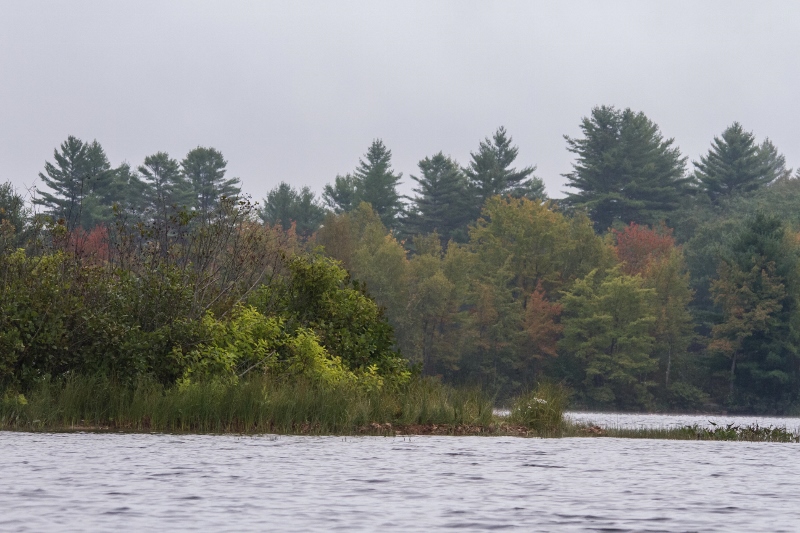 Kayak Foggy Morn 105 (800x533)