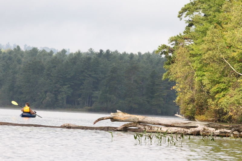 Kayak Foggy Morn 235 (800x533)