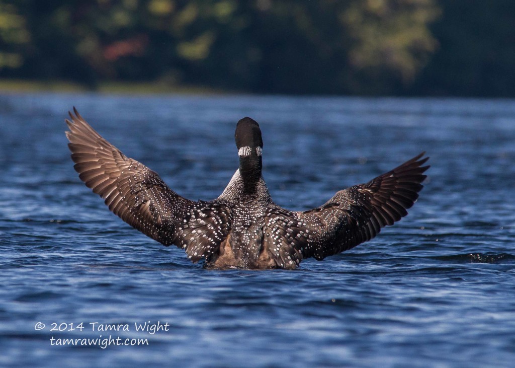 Fall Kayak 9-27  (180)