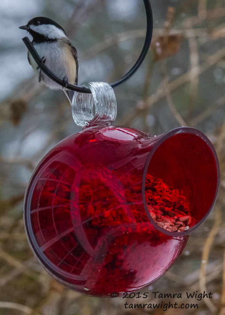 Red Feeder  (3)