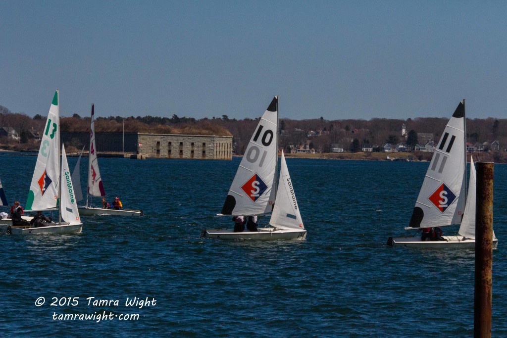 Portland Bay Walk  (26)
