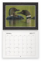 loon-family-apr