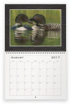 loon-family-aug