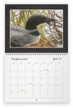 loon-family-feb