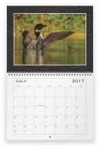 loon-family-jul