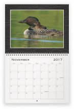 loon-family-nov