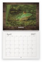 maine-wildlife-apr