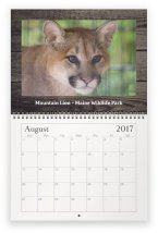 maine-wildlife-aug