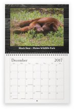 maine-wildlife-dec