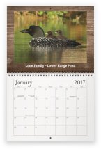 maine-wildlife-feb