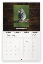 maine-wildlife-feb2