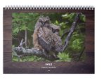 maine-wildlife-jan