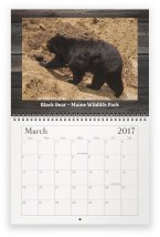 maine-wildlife-mar