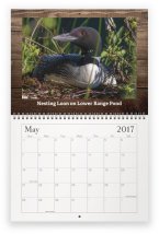 maine-wildlife-may