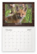 maine-wildlife-oct