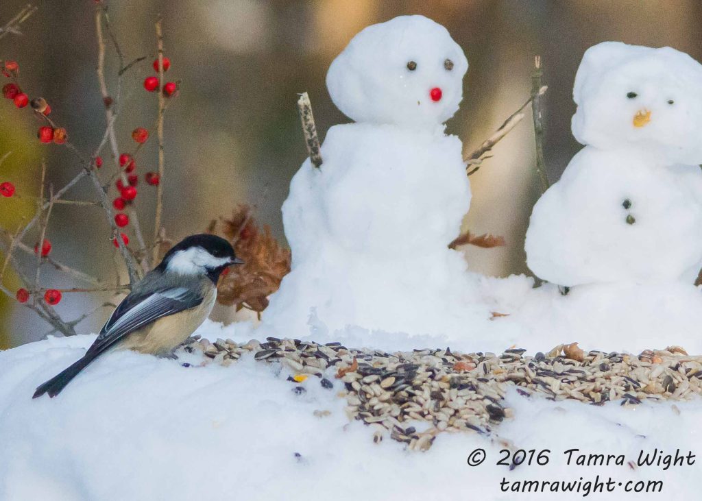 A chickadee sits in a pile of seed, near two snow people