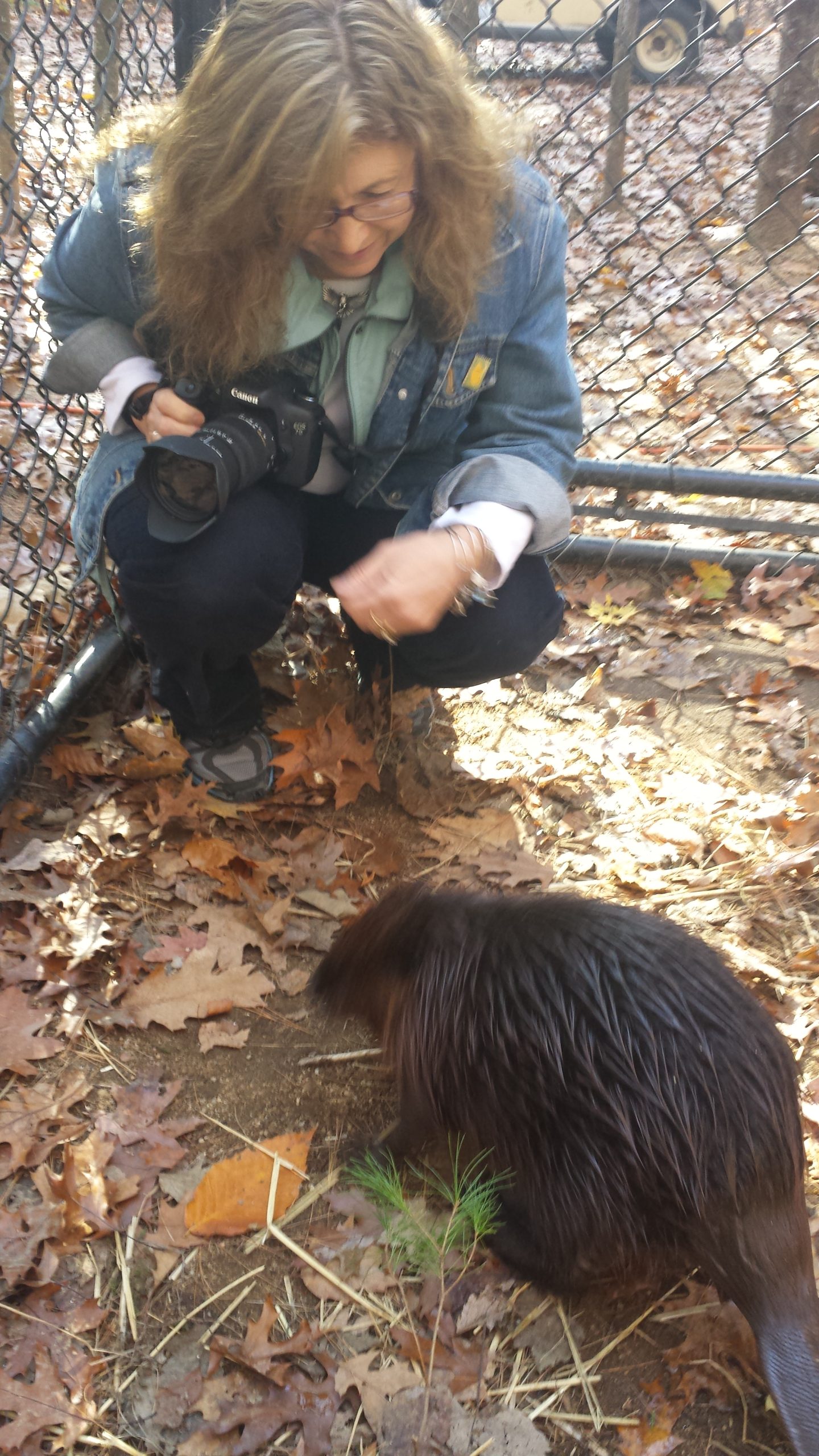 Tamra with a beaver in it's habitat at the Maine Wildlife Park