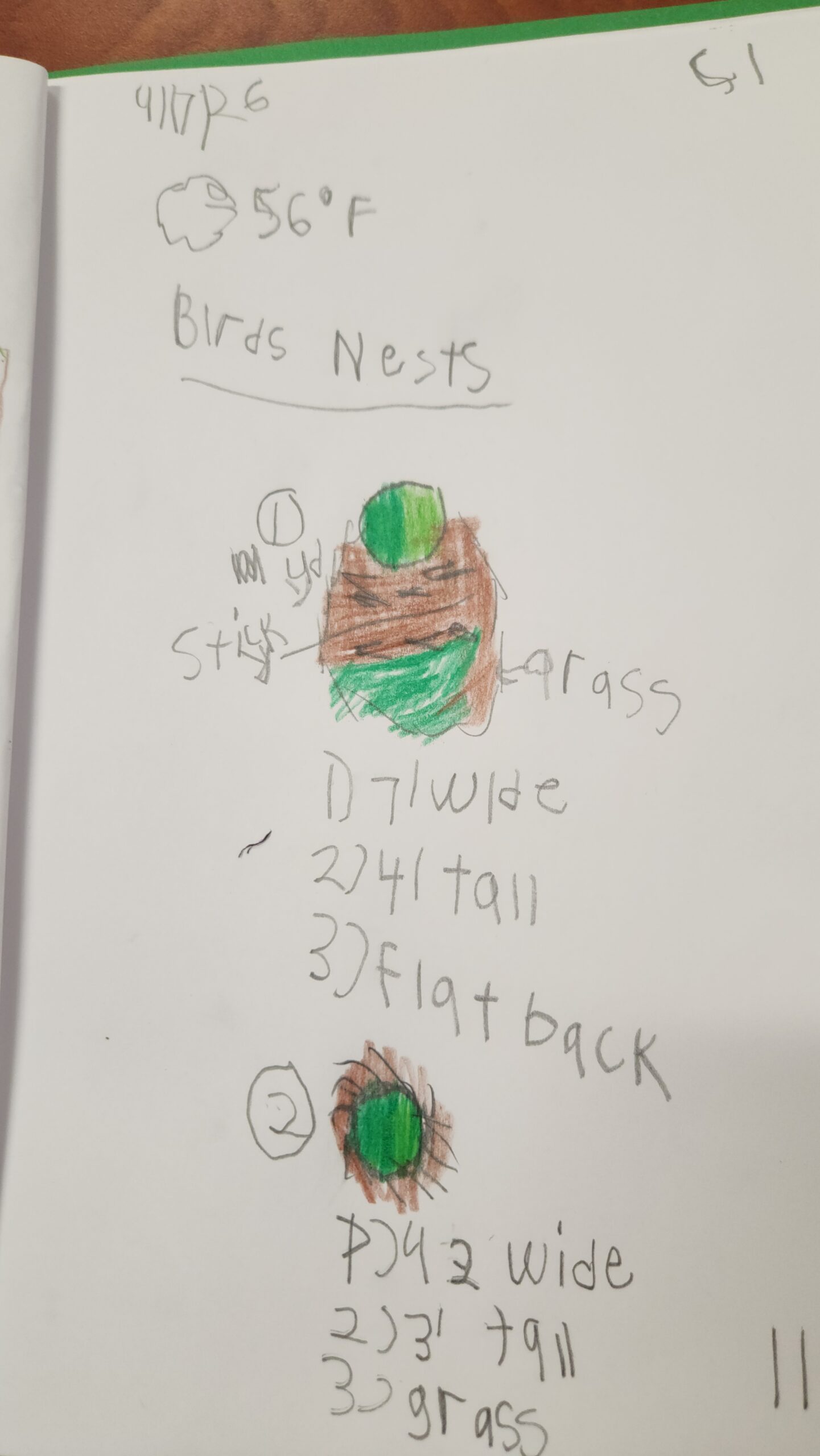 A student's drawing of two birds nests with information on each